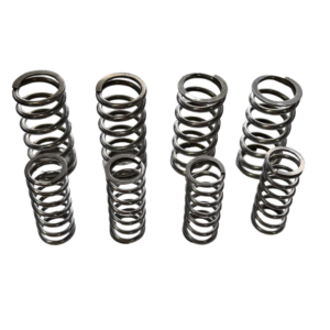 MOLAS DUPLAS DE VÁLVULA - 300F